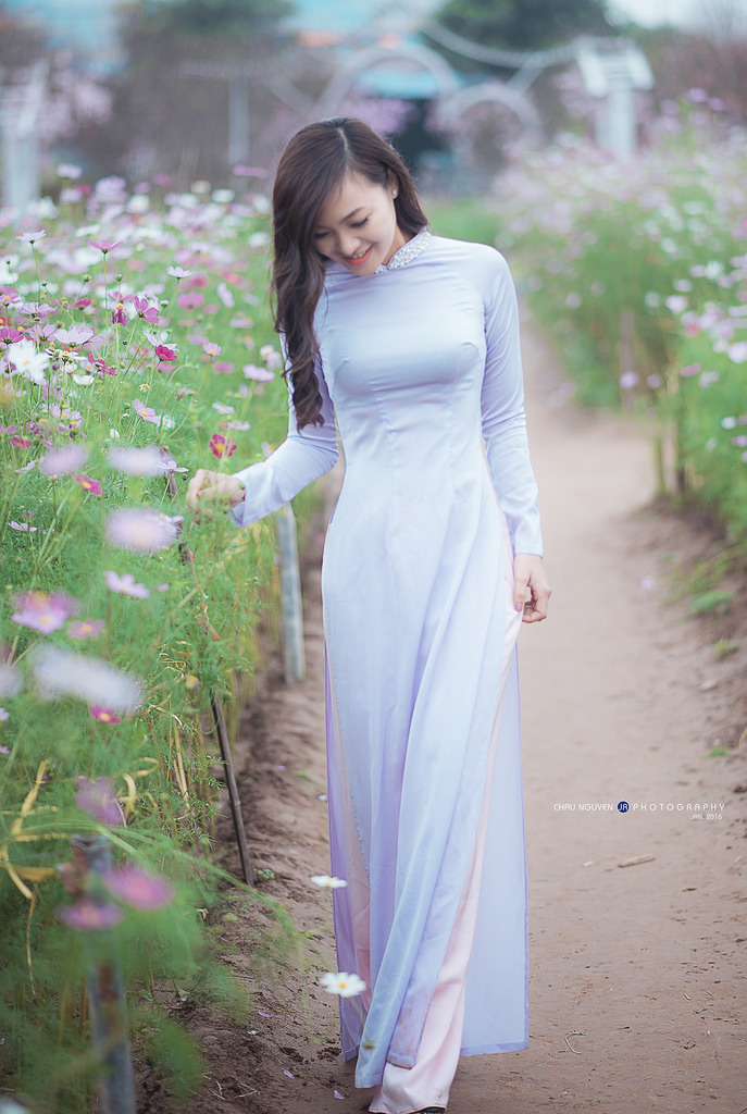 恐怖幽灵船